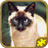 Cat Jigsaw Puzzles icon