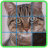 Cat Slide Puzzle icon