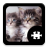 Cats & Kittens Puzzle icon