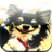 Chihuahua Game icon
