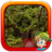 Monteverde Cloud Forest Reserve Escape icon