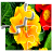 Puzzle for kids: foto flowers icon