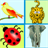 Funny Zoo game icon