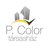 P.Color Társasház icon