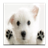 Cute Dogs Puppies Puzzle Game icon
