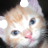 Kitten Puzzle icon