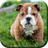 Puppy Puzzles 1.0.1