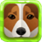 Dog Breed Matching Game icon
