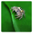 Dangy Spiders logic game icon