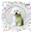 DOGS Match 'N Learn - FREE icon