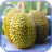 Durian Jigsaw Puzzles icon