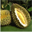 Durian Matching icon