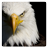 Eagle in sky logic game icon