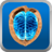 Easy Brain Fitness icon