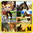 Find the Difference Horses icon