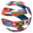 Flags of the countries icon
