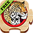 Big Cats Free icon