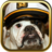 Bulldog Puzzle Games  icon