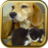 Dogs and Cats Puzzles  icon