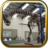 Free Fossil Puzzles  icon