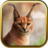Wild Cats Puzzle Games  APK Download