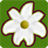 Flower Shop Star icon