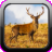 Deer Hunter version 1.0