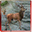 Deer Sniper Hunter 2015 icon