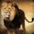 Lion Safari Attack icon