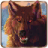 Wolf Hunting Adventure icon