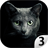 Find a cat 3 icon