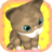 CatCollect icon