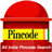 Pincode APK Download