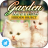 Hidden Object - Garden Kittens Free icon
