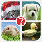 GUESS THE WORD _ 4 PICS 1 WORD icon
