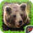 Bear Simulator version 1.3