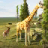 Giraffe Simulator icon