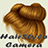 HairStyle Camera icon