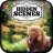 Hidden Scenes - Wilderness Free icon