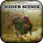 Hidden Scenes - Turkey Trot Free version 1.0.4