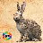Rabbit Simulator APK Download