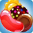 Cookie Gummy Mania Drop APK Download