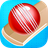 Cricket Bat Ball Hit 3D icon
