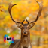 Deer Simulator APK Download