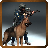 Police Dog:Thief Chase icon