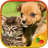 Dogs and Cats version 1.0.5