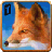Life of Wild Fox version 1.1