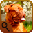 Differences: Animals APK Download