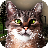 Street Cat Simulator icon