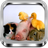 Jigsaw Puzzle Baby Animals icon